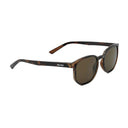 Sonnenbrille Horizon Carey / Braun kaufen -  Velites Sonnenbrillen  - Fitness Onlineshop