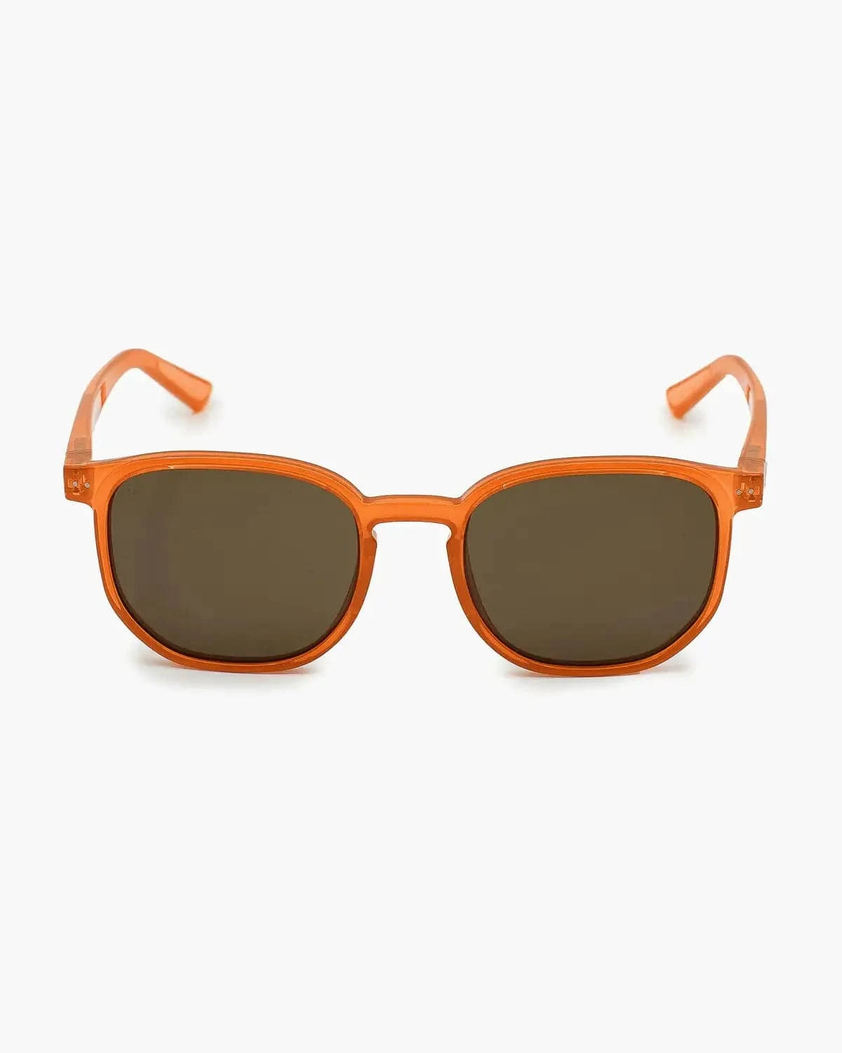 Sonnenbrille Horizon kaufen -  Velites Sonnenbrillen  - Fitness Onlineshop