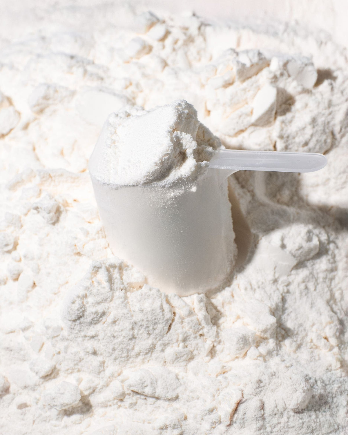 Micellar Casein Protein kaufen -  Vilgain Casein Proteinpulver  - Fitness Onlineshop