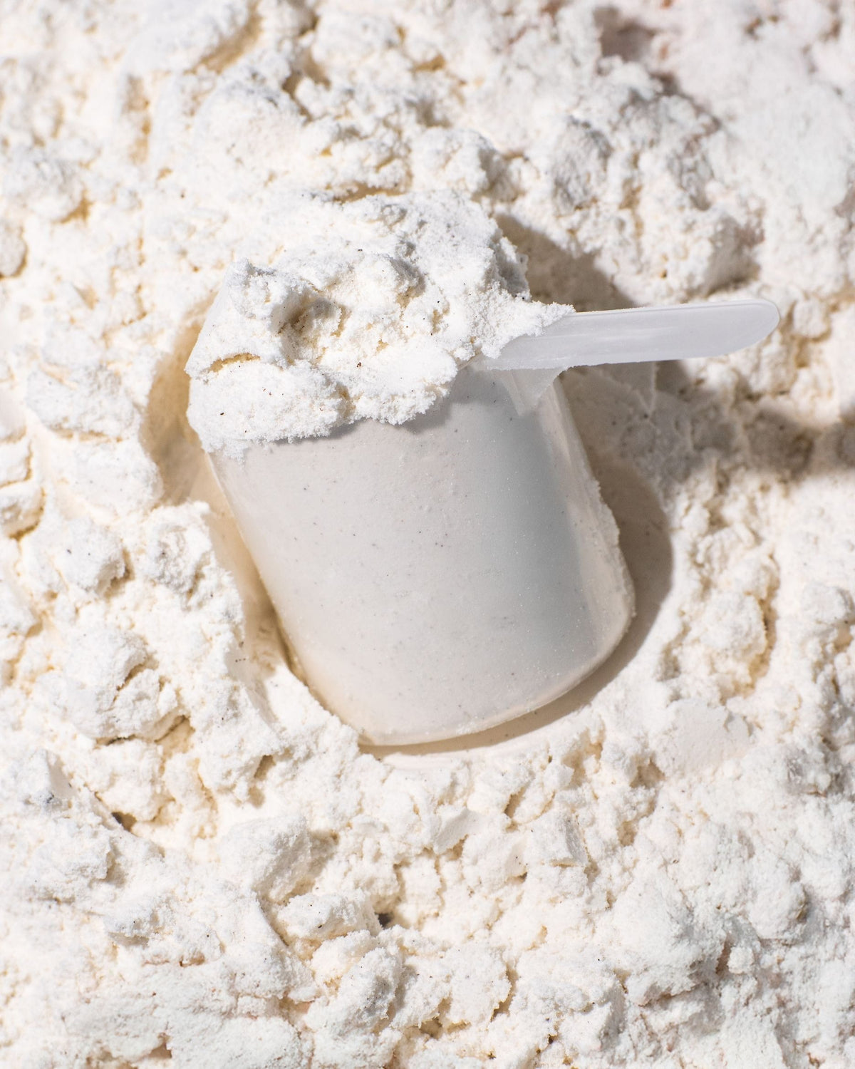 Micellar Casein Protein kaufen -  Vilgain Casein Proteinpulver  - Fitness Onlineshop
