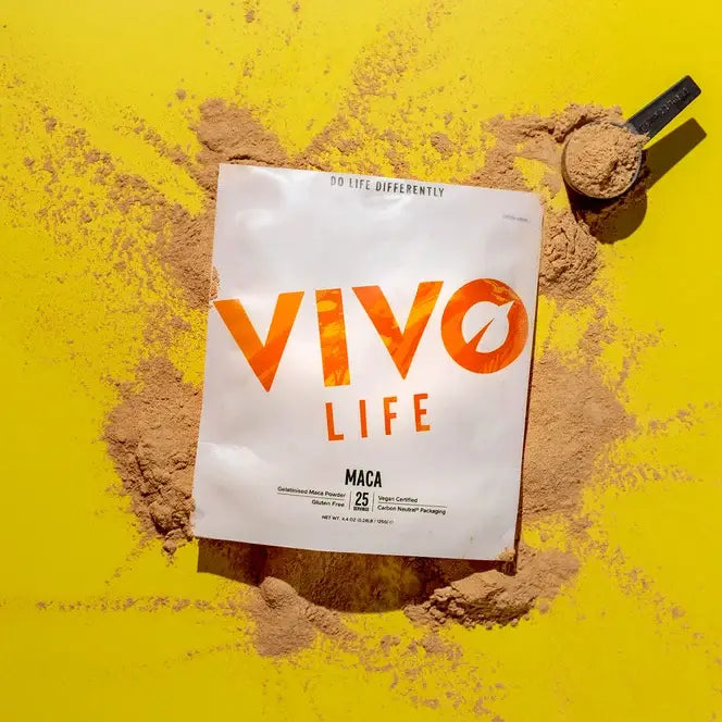 Maca Pulver (gelatinisiert) 125 g kaufen -  Vivo Life Adaptogene  - Fitness Onlineshop