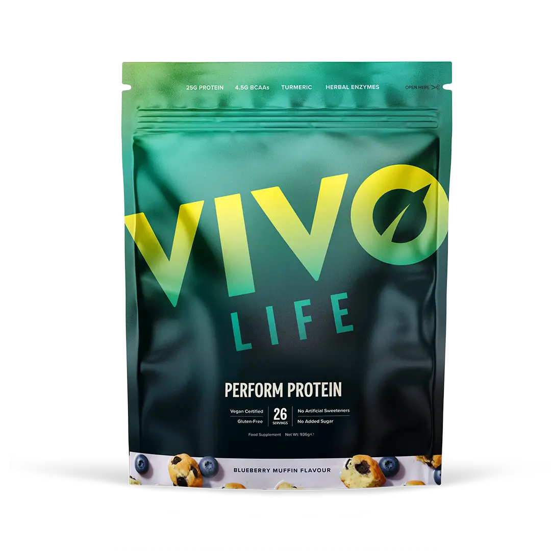 Perform Protein Blueberry Muffin / 26 Portionen kaufen -  Vivo Life Vegane Proteinpulver  - Fitness Onlineshop